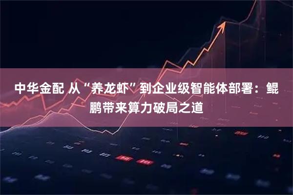 中华金配 从“养龙虾”到企业级智能体部署:鲲鹏带来算力破局之道