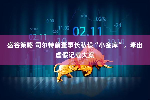 盛谷策略 司尔特前董事长私设“小金库”，牵出虚假记载大案