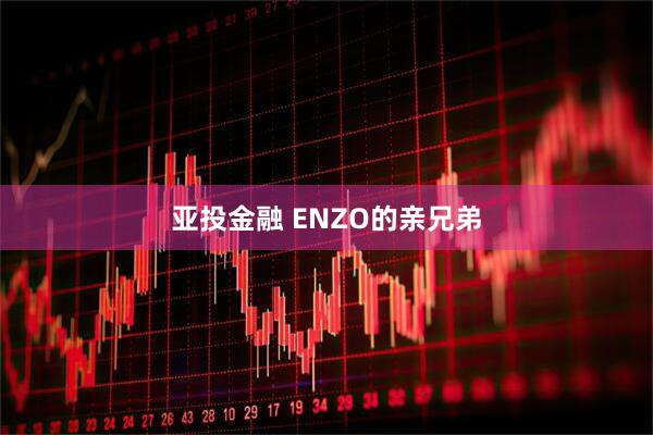 亚投金融 ENZO的亲兄弟
