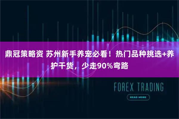 鼎冠策略资 苏州新手养宠必看！热门品种挑选+养护干货，少走90%弯路