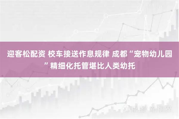 迎客松配资 校车接送作息规律 成都“宠物幼儿园”精细化托管堪比人类幼托