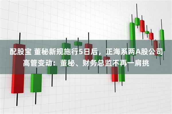 配股宝 董秘新规施行5日后，正海系两A股公司高管变动：董秘、财务总监不再一肩挑