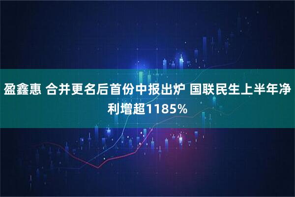 盈鑫惠 合并更名后首份中报出炉 国联民生上半年净利增超1185%