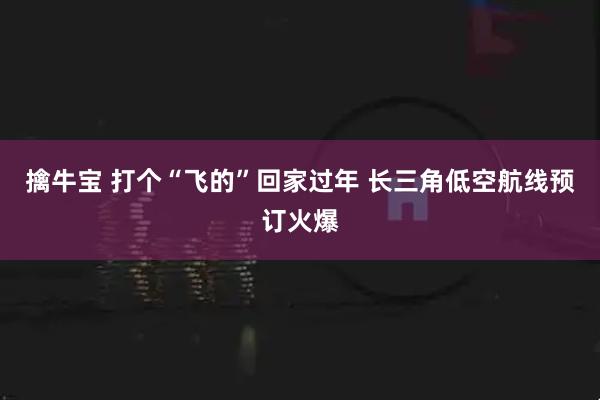 擒牛宝 打个“飞的”回家过年 长三角低空航线预订火爆
