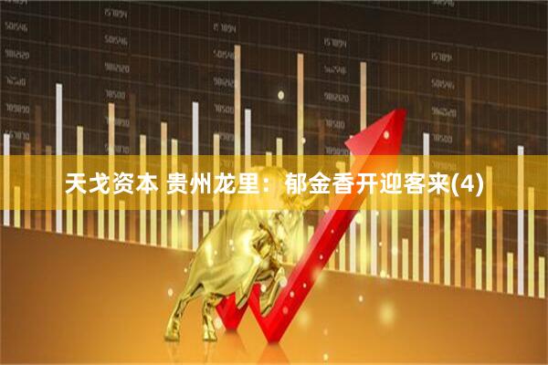 天戈资本 贵州龙里：郁金香开迎客来(4)