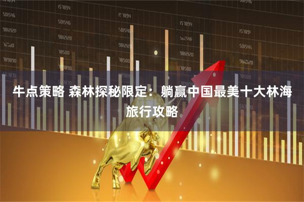 牛点策略 森林探秘限定：躺赢中国最美十大林海旅行攻略