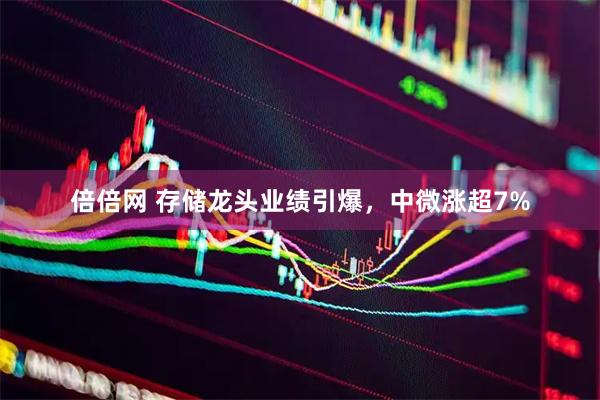 倍倍网 存储龙头业绩引爆，中微涨超7%
