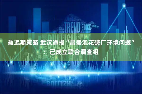 盈远期策略 武汉通报“昌盛泡花碱厂环境问题”：已成立联合调查组