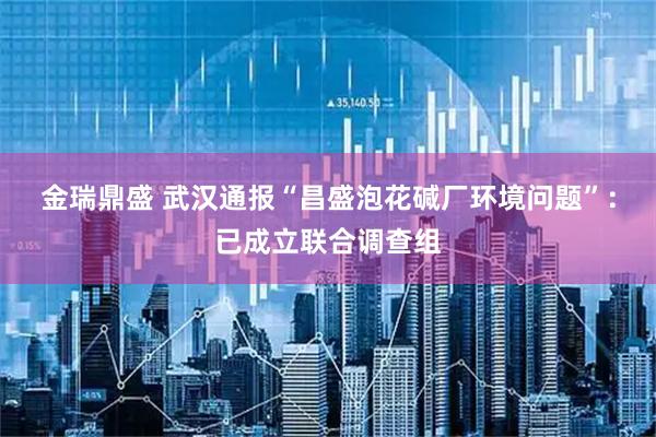 金瑞鼎盛 武汉通报“昌盛泡花碱厂环境问题”：已成立联合调查组