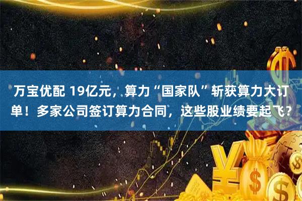 万宝优配 19亿元,算力“国家队”斩获算力大订单!多家公司签订算力合同,这些股业绩要起飞?