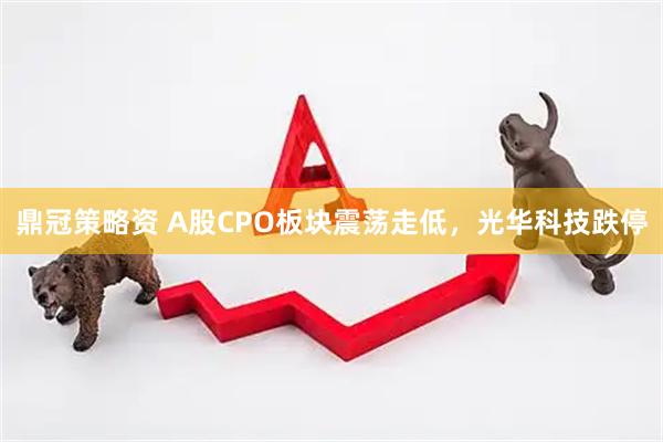 鼎冠策略资 A股CPO板块震荡走低，光华科技跌停