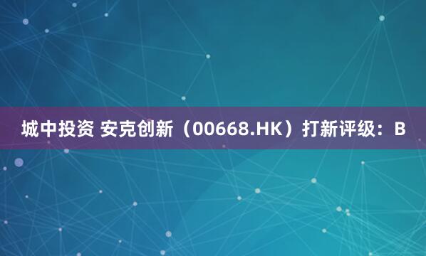 城中投资 安克创新（00668.HK）打新评级：B