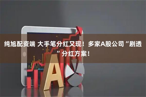 纯旭配资端 大手笔分红又现！多家A股公司“剧透”分红方案！